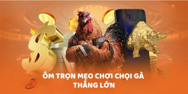 Đá gà 78win
